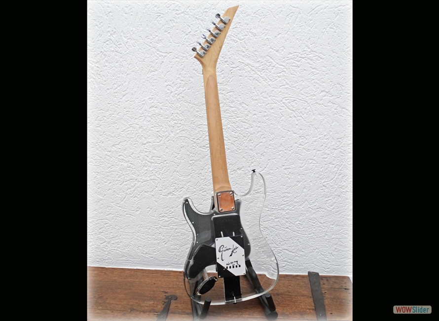 Guitar 8 Back