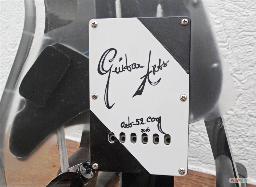 Guitar 8 Body Back